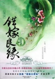 cuo-jia-liangyuan-zhi-xi-yuan-lu-novel